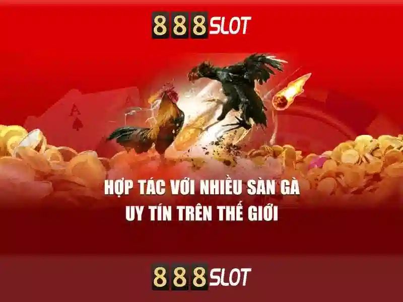 Giao diện người dùng và trải nghiệm