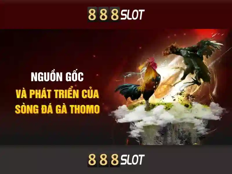 Thanh toán và rút tiền
