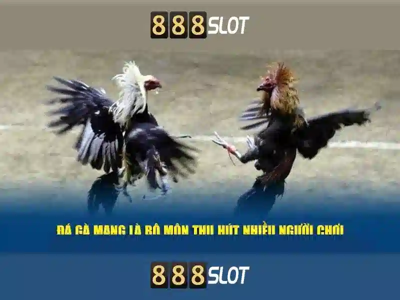 ok slot 888 – Trải nghiệm đỉnh cao với p 888 slot