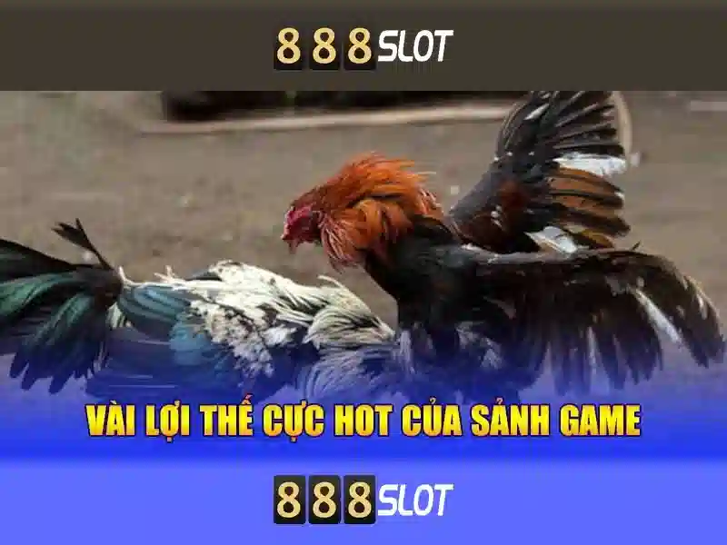 Sản phẩm và dịch vụ cốt lõi của agen slot 888