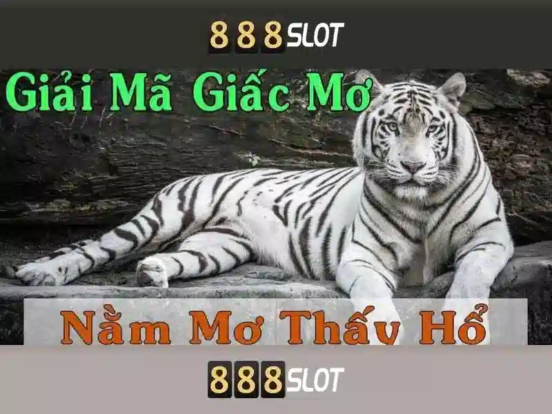 tt slot 888 login app – Tổng quan chủ đề và Giá trị cốt lõi