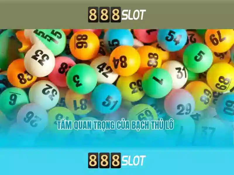 888slot - Trải nghiệm đánh bài trực tuyến hàng đầu