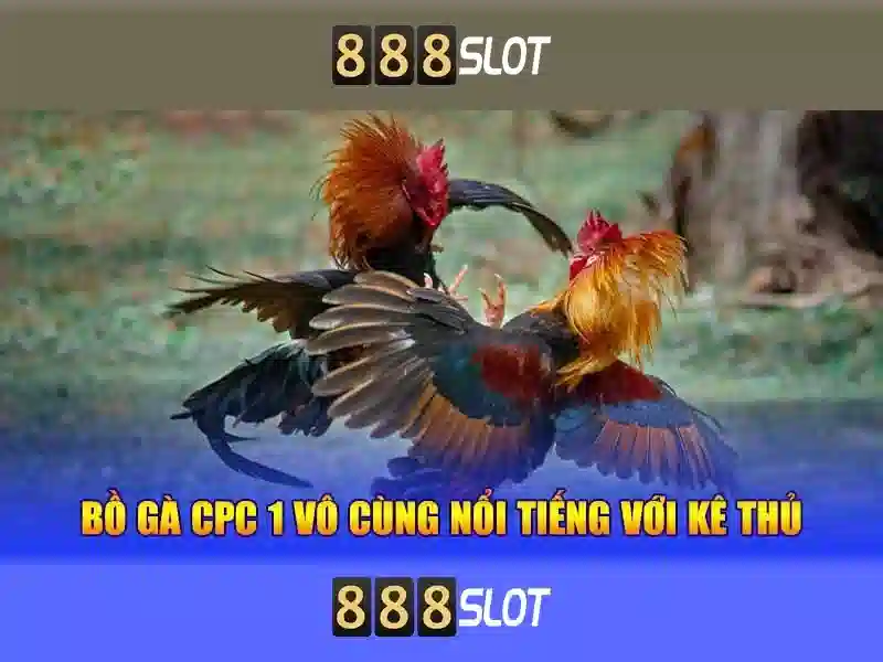 slot 888 malaysia – chủ đề tổng quan và giá trị cốt lõi
