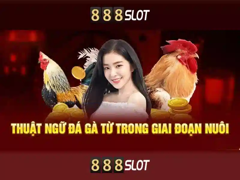 888slot: Trải nghiệm trò chơi quay số trực tuyến hàng đầu