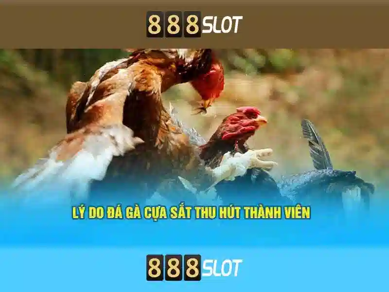 Trải nghiệm di động và thanh toán nhanh\n<h2 class=