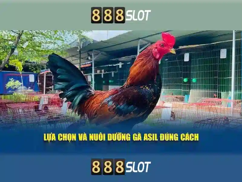 slot berlian 888 – Tổng quan chủ đề và giá trị