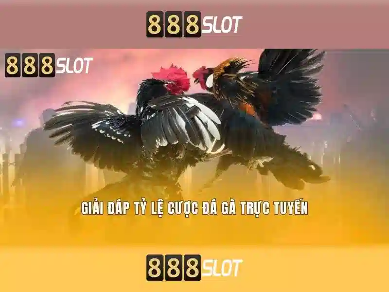 888slot - Trải nghiệm xèng trực tuyến hàng đầu