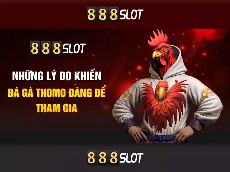 Giao diện và trải nghiệm người dùng
