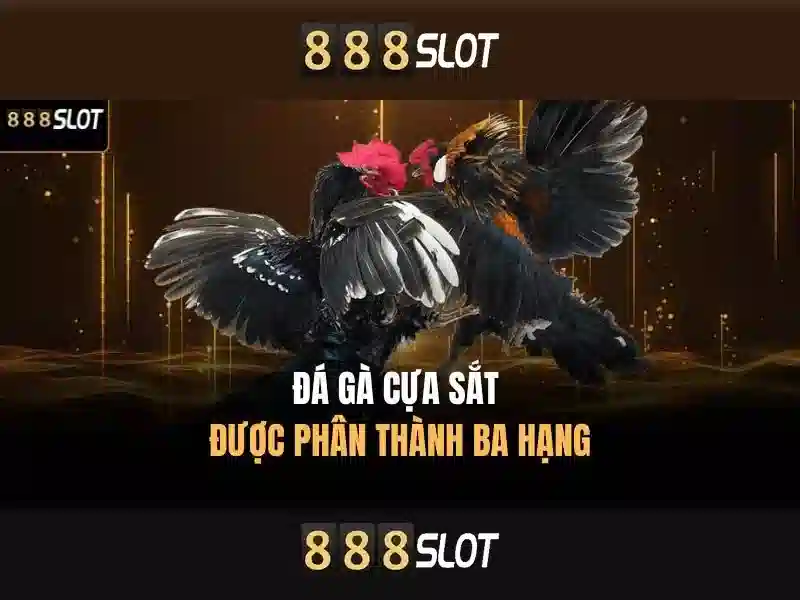 888slot - Trải nghiệm máy xèng trực tuyến đáng tin cậy tại Việt Nam