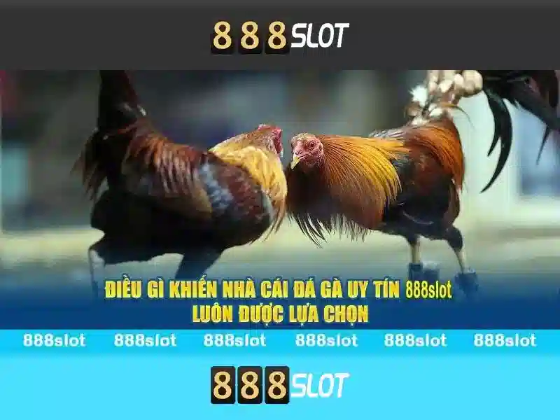 888slot - Đánh giá và trải nghiệm slot trực tuyến