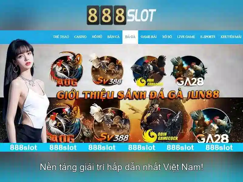 Kết luận