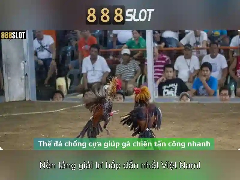 Giao diện và trải nghiệm người dùng