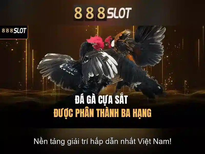 Tổng quan về 888 slot login