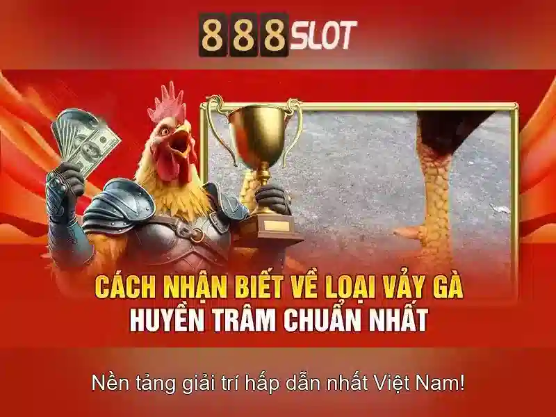 Thanh toán nhanh chóng và hỗ trợ khách hàng tận tình