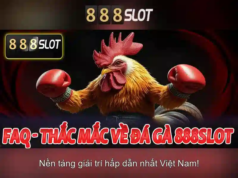 Trải nghiệm người dùng và giao diện