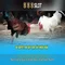 888slot - Đánh giá và Trải nghiệm