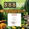 slot vip 888 – Khai thác giá trị và trải nghiệm casino