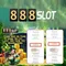 888 casino slot machine – khám phá trải nghiệm đỉnh cao